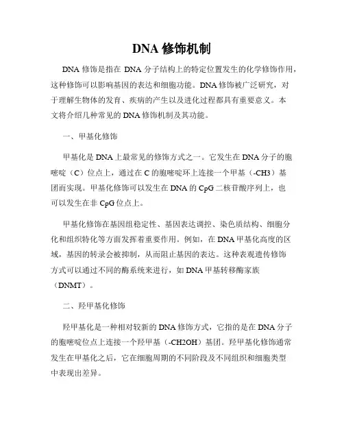 DNA修饰机制