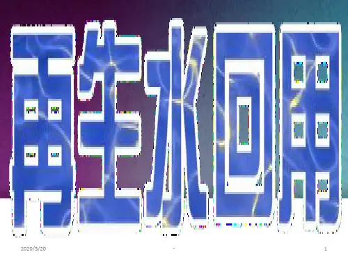 再生水回用PPT课件