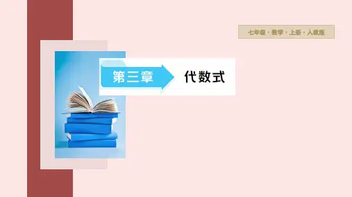 3.1  列代数式表示数量关系  第1课时 代数式的意义  课件    人教版七年级数学上册