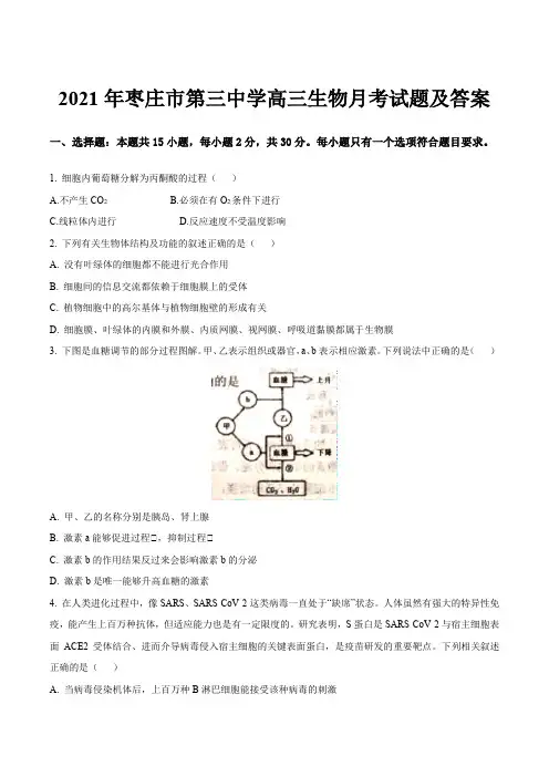 2021年枣庄市第三中学高三生物月考试题及答案