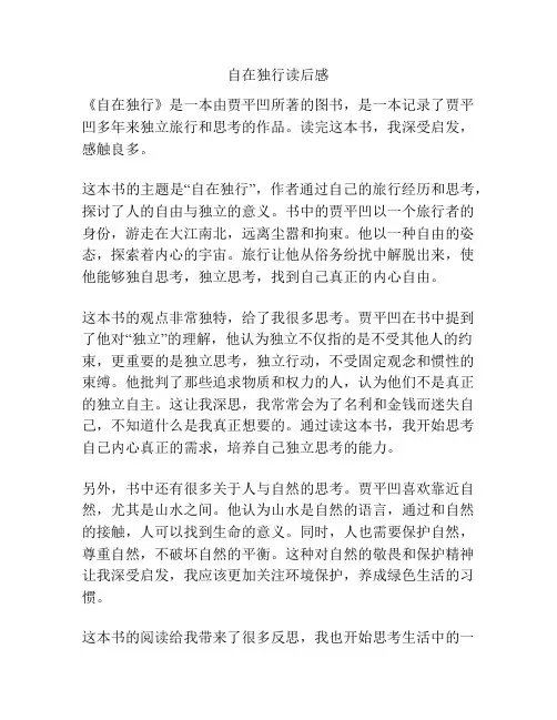 自在独行读后感