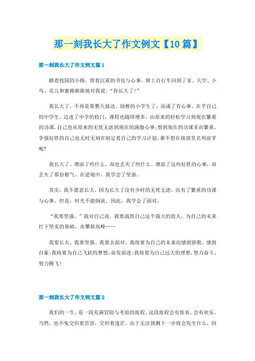 那一刻我长大了作文例文【10篇】