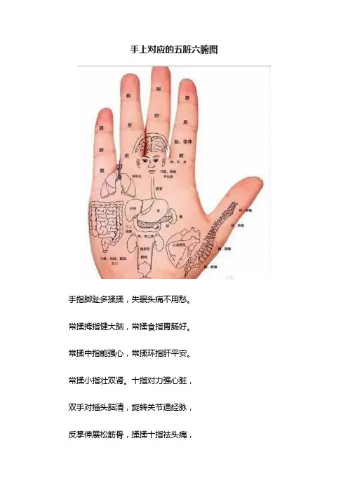 手上对应的五脏六腑图