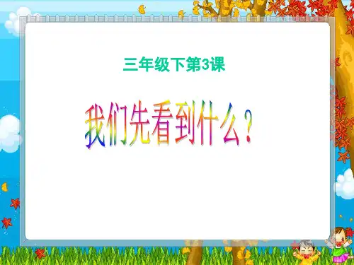 1-3我们先看到了根4精品PPT课件