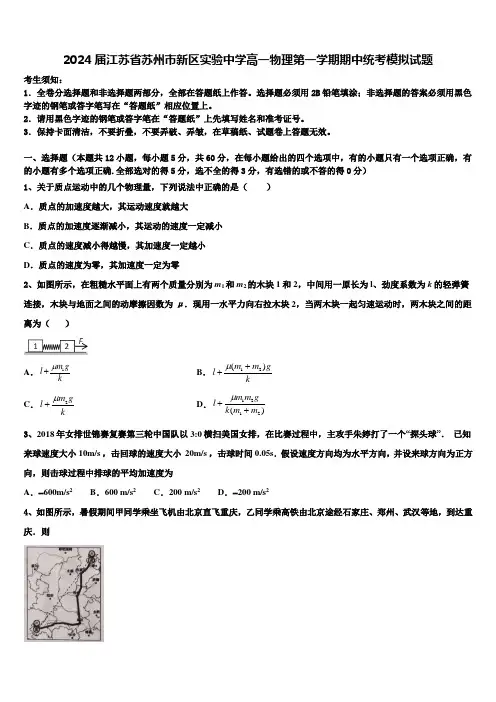 2024届江苏省苏州市新区实验中学高一物理第一学期期中统考模拟试题含解析