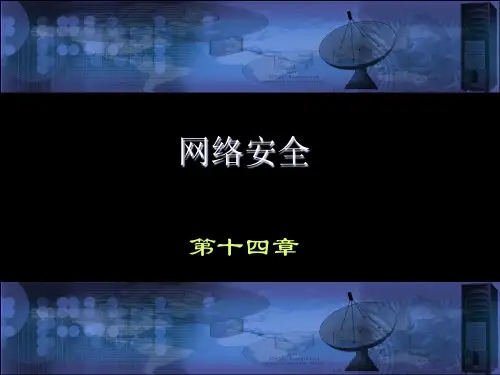 沈鑫剡编著(网络安全)教材配套课件第14章