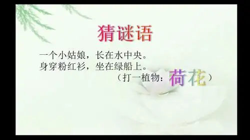 三年级下册美术课件《荷花美》赣美版2共23张PPT