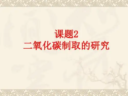 人教版初中化学九年级上册 6.2 二氧化碳制取的研究 课件(共54张PPT)