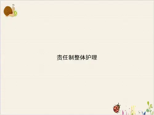 责任制整体护理PPT.