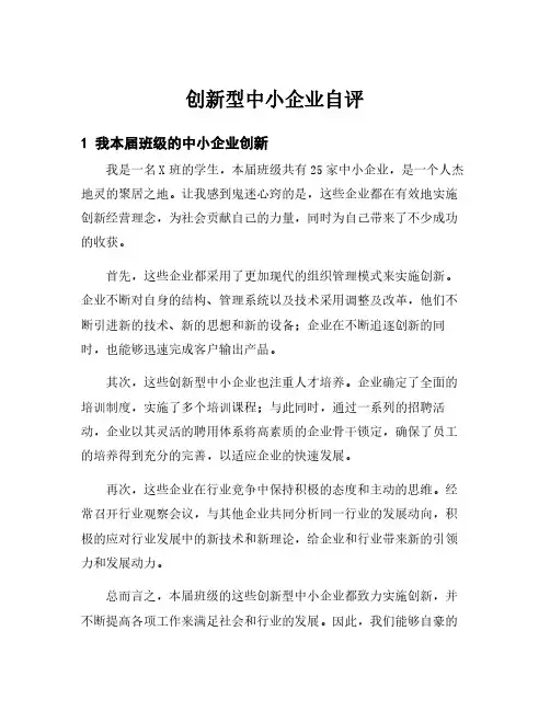 创新型中小企业自评