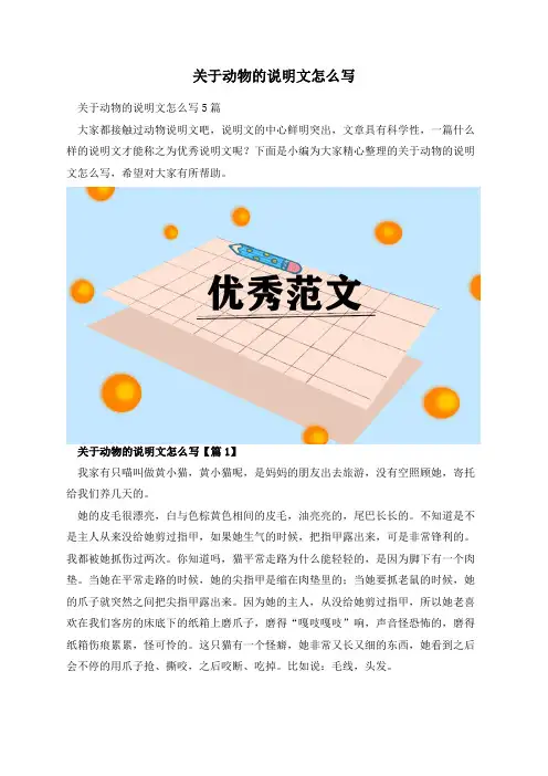 关于动物的说明文怎么写