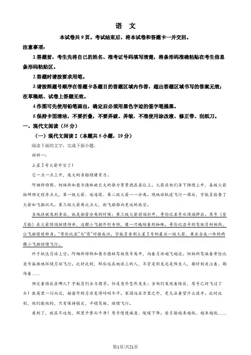 2024年新高考Ⅱ语文(解析版)
