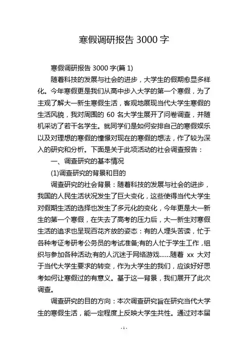 寒假调研报告3000字