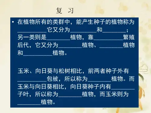 第二节---从种到界