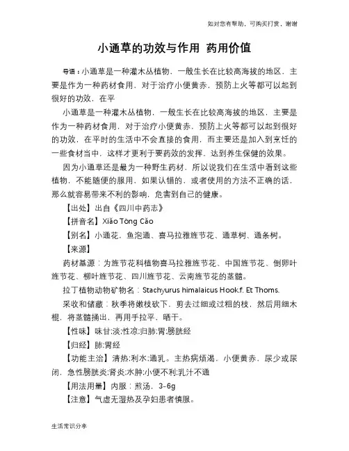 小通草的功效与作用 药用价值
