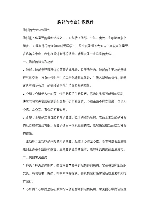 胸部的专业知识课件