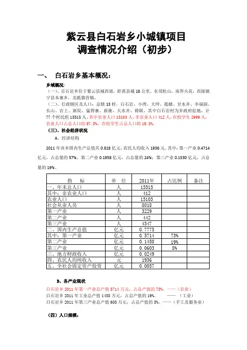 紫云县白石岩乡小城镇项目