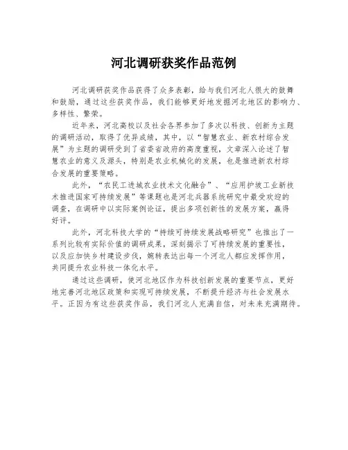 河北调研获奖作品范例