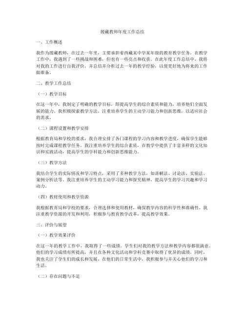 援藏教师年度工作总结