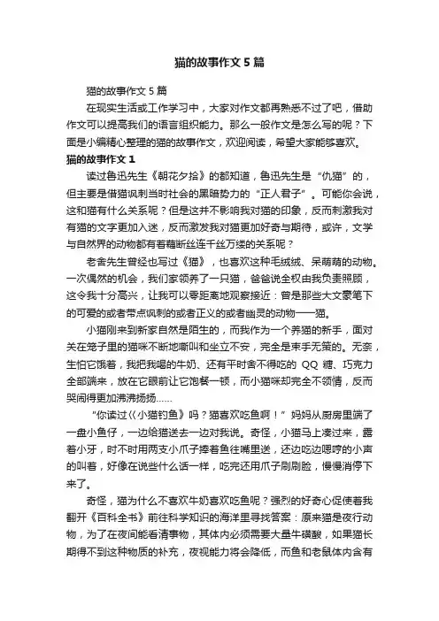 猫的故事作文5篇