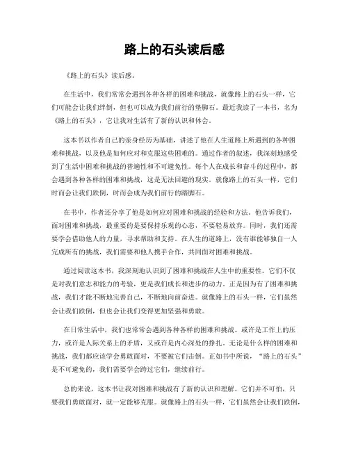 路上的石头读后感