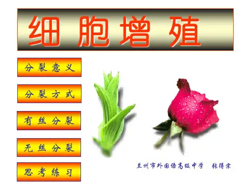 细胞分裂PPT教学课件