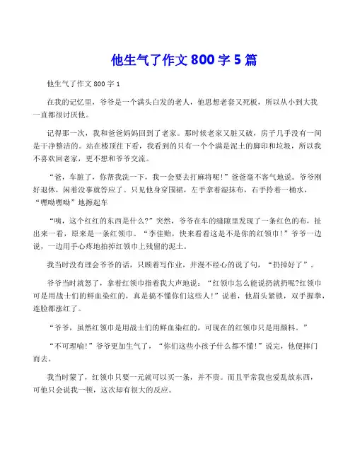 他生气了作文800字5篇