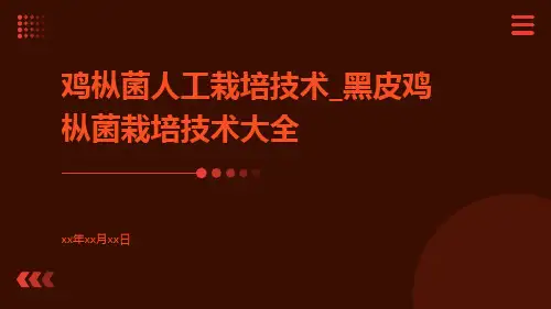 鸡枞菌人工栽培技术_黑皮鸡枞菌栽培技术大全