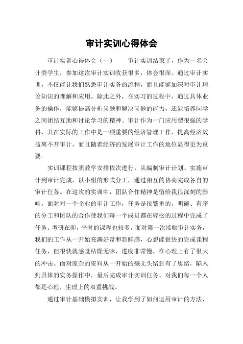 审计实训心得体会