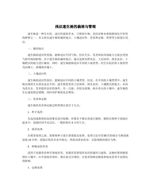 浅议速生杨的栽培与管理