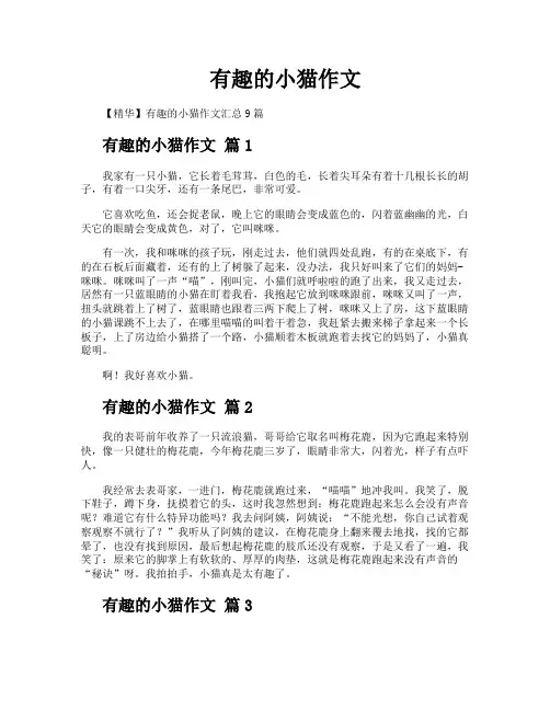 有趣的小猫作文