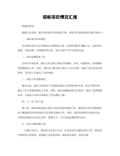 招标项目情况汇报