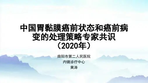 中国胃黏膜癌前状态和癌前病变的处理策略专家共识(2020年)