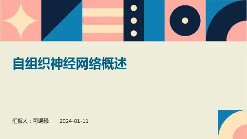 自组织神经网络概述