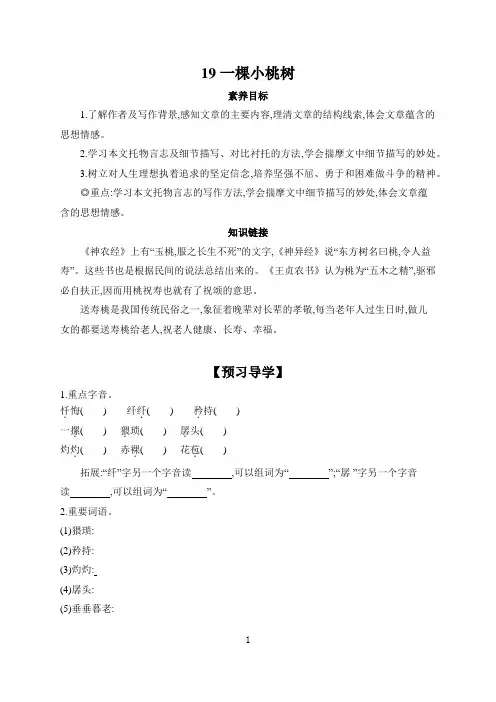 第19课《一棵小桃树》导学案-2023-2024学年统编版语文七年级下册
