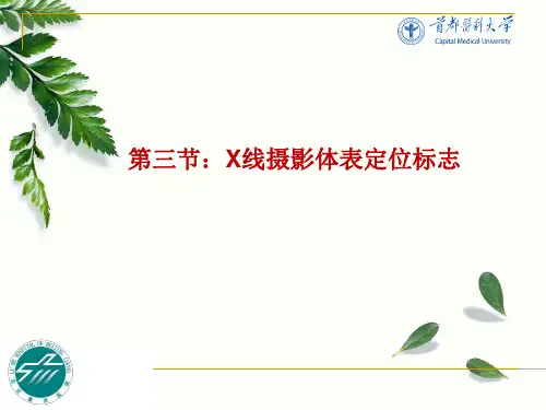 《医学影像技术学》教学课件：第三节：X线摄影体表定位标志