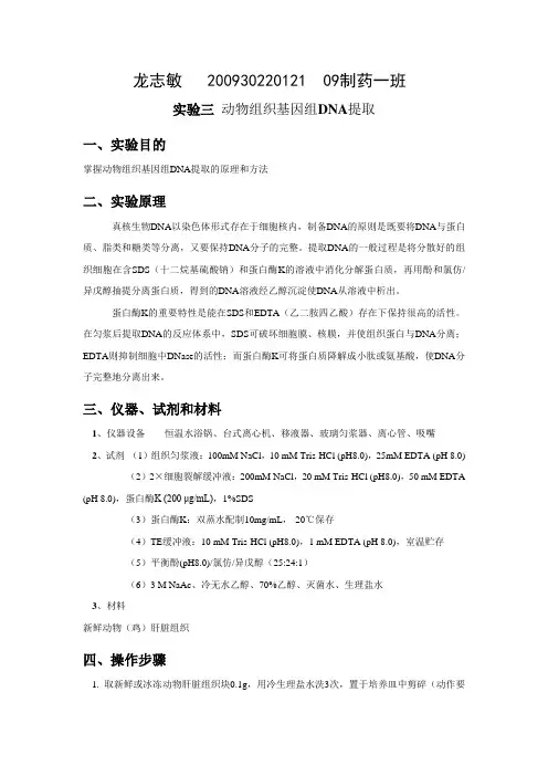 实验三 动物组织基因组DNA提取