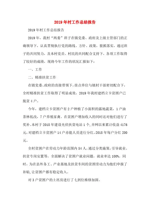 2019年村工作总结报告