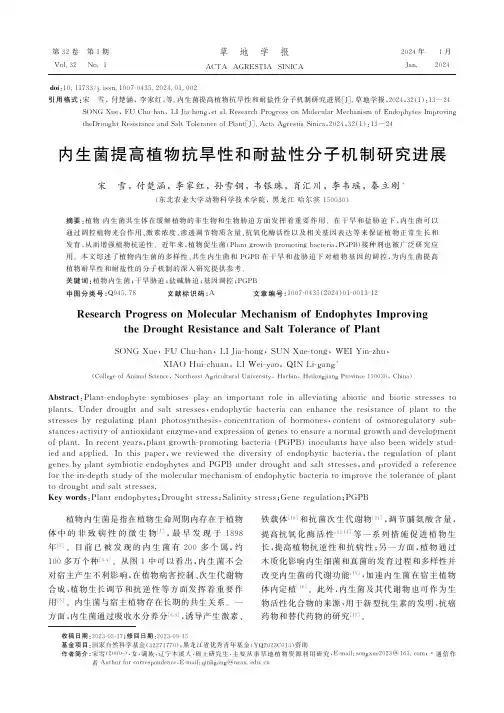 内生菌提高植物抗旱性和耐盐性分子机制研究进展