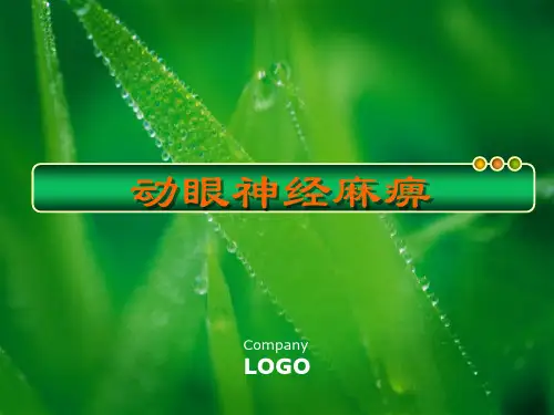 动眼神经麻痹  ppt课件