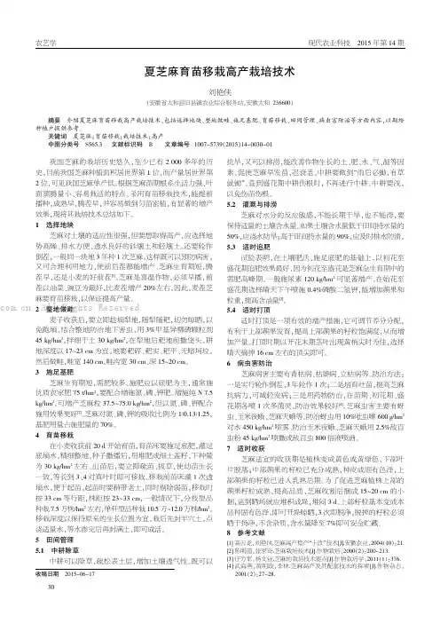 夏芝麻育苗移栽高产栽培技术