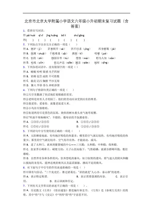 北京市北京大学附属小学语文六年级小升初期末复习试题(含答案)