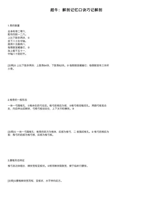 超牛：解剖记忆口诀巧记解剖