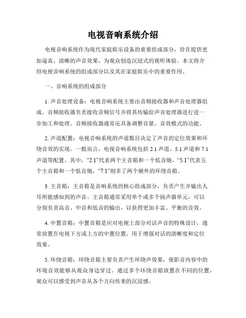 电视音响系统介绍