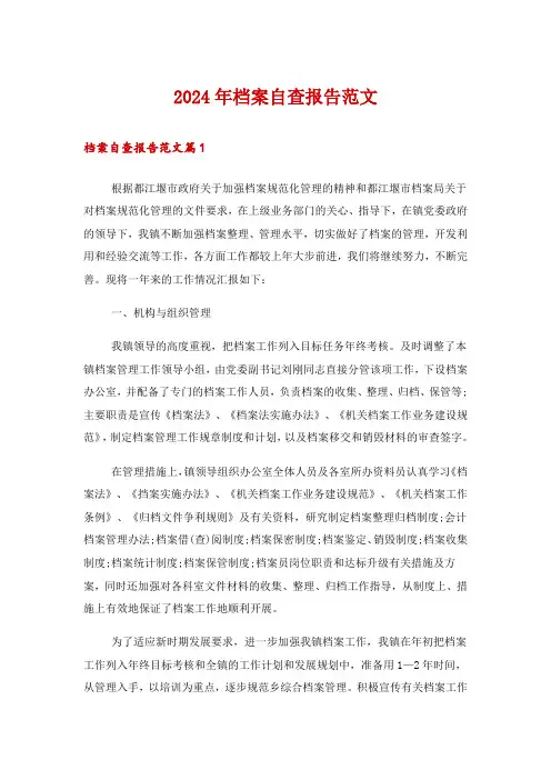 2024年档案自查报告范文