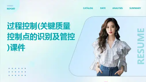 过程控制(关键质量控制点的识别及管控)课件