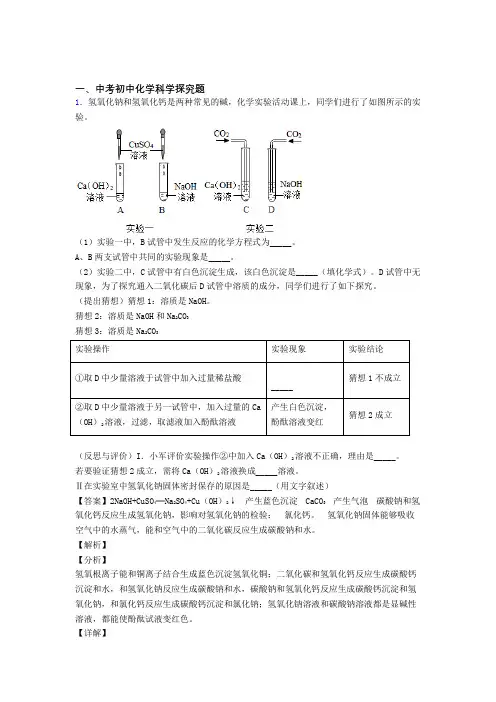 2020-2021中考化学探究题提高练习题压轴题训练附答案