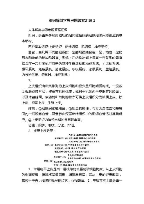 组织解剖学思考题答案汇编1