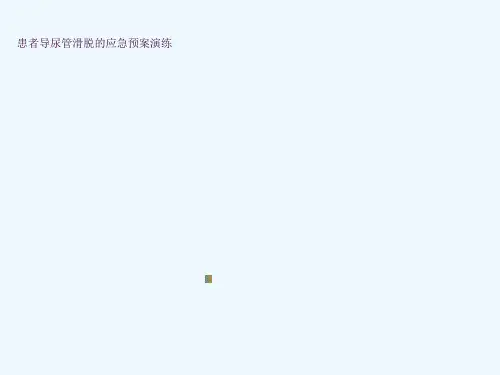 导尿管滑脱应急预案ppt课件
