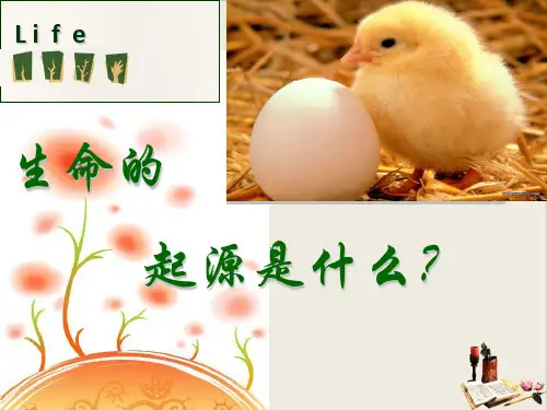 人民版追寻生命的起源精品课件1